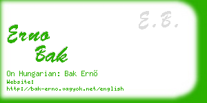 erno bak business card